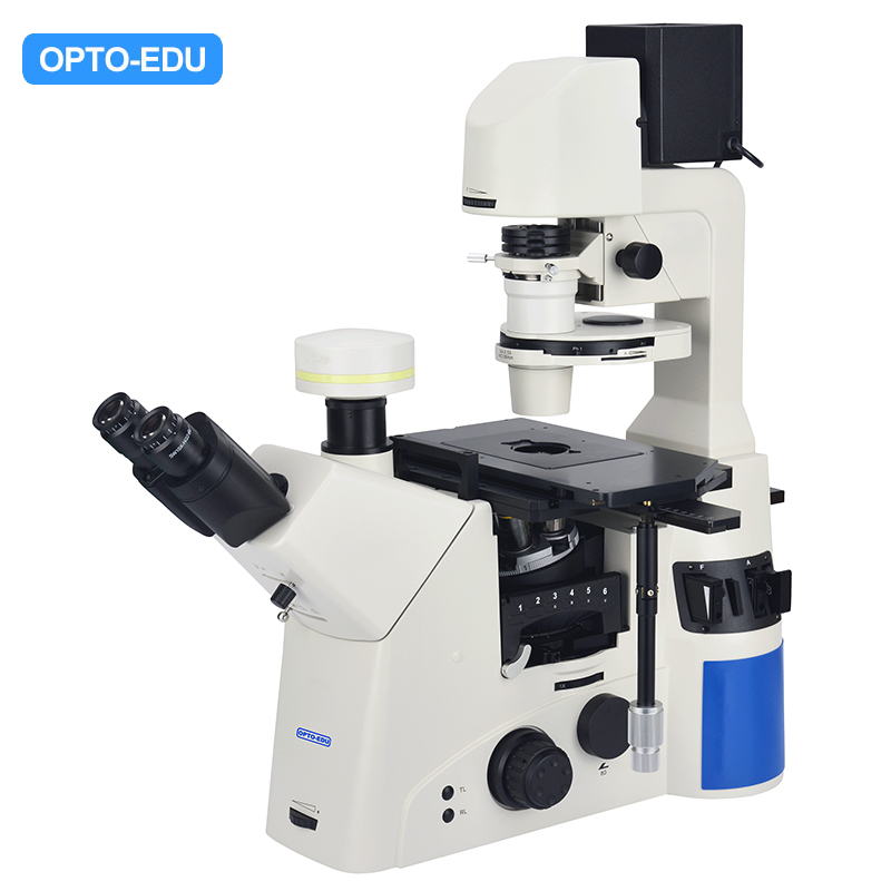 Inverted Laboratory Microscope, Semi-Auto, Semi-APO, BF+PH Model : A14.1096